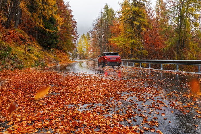 Misty,Landscape.,Overcast,Autumn,Day.,Bright,Fall.,A,Red,Car